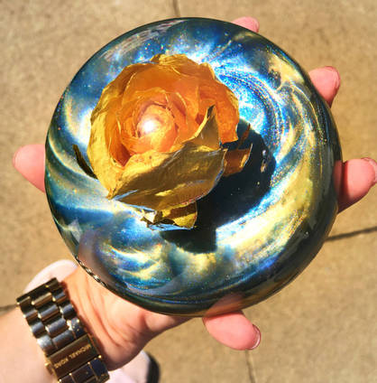 Yellow Rose Dome